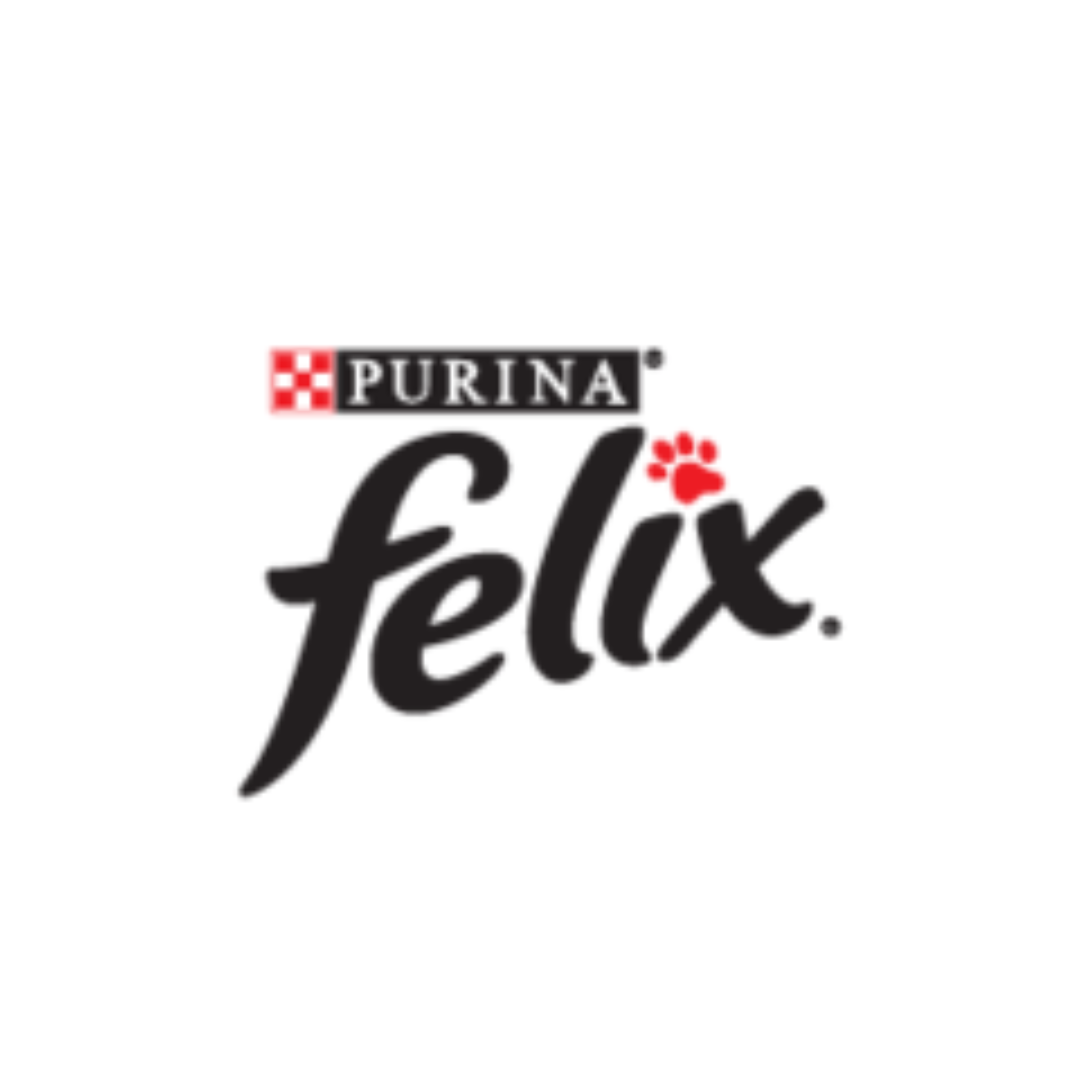 LOGO FELIX